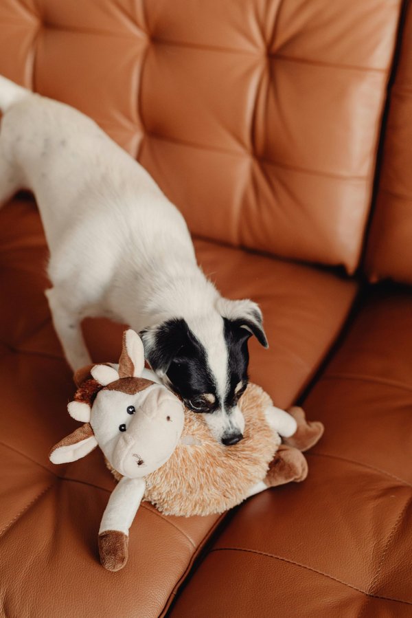 Découvrez les peluches vaches : douceur et tendresse assurées !